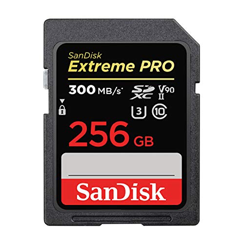 ATLAS S PRO 256GB SDXC UHS-II V90 SDカード OWC ATLAS S PRO SDXC UHS-II V90 Media Cards Review - Newsshooter